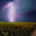 Lightning strike on a farmland