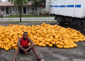 Truck load of illicit drugs intercepted by soldiers in Lagos.