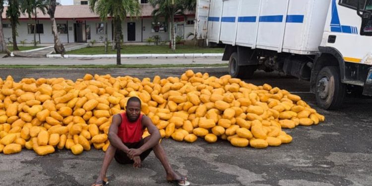 Truck load of illicit drugs intercepted by soldiers in Lagos.