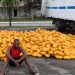 Truck load of illicit drugs intercepted by soldiers in Lagos.