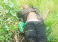One kidnapper neutralised in Kwara Forest