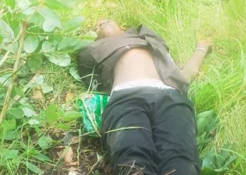 One kidnapper neutralised in Kwara Forest