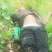 One kidnapper neutralised in Kwara Forest