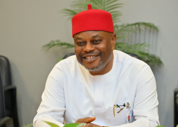 Former Minister of Innovation, Science and Technology, Geoffrey Uche Nnaji