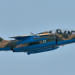 A Nigerian Air Force Alpha Jet is pictured during an aerial operation as the NAF carries out precision airstrikes targeting ISWAP fighters in the Sambisa Forest area of Borno State.
