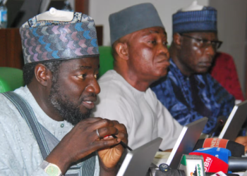 Members of the House of Representatives Ad Hoc Committee during a public hearing into the establishment and operations of the Presidential Foreign Intervention Promotion Council, PFIPC in Abuja.