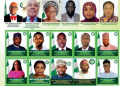 Organizational chart of the alleged National Brand Development and Made in Nigeria Project Office, showing its purported national coordinator, zonal directors, state coordinators and representatives.