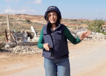 Journalist Amal Khalil