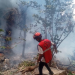 Kenya Red Cross emergency responders take part in a rescue and recovery operation at the scene of the helicopter crash that killed Ecuador’s intelligence chief Michele Sensi-Contugi, his wife and five others