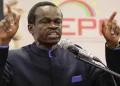 Renowned Kenyan scholar and Pan-Africanist, Prof. PLO Lumumba