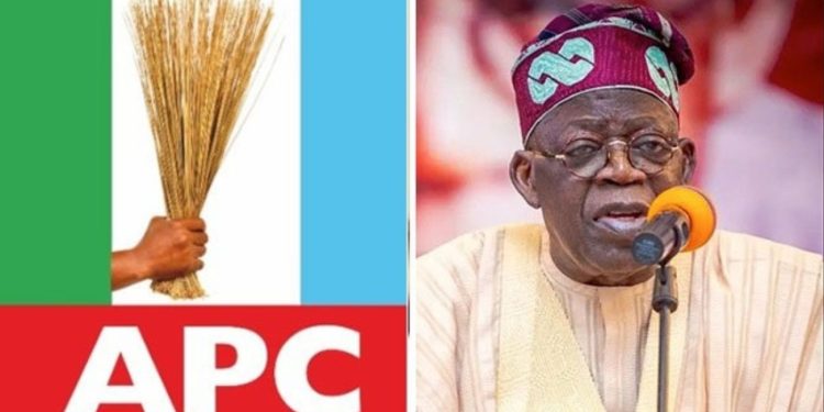 Yari leads Tinubu’s campaign for 2027 election