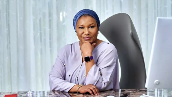 Senator Ireti Kingibe raises concerns over alleged FCT loans taken by Minister Nyesom Wike without approval from the National Assembly.