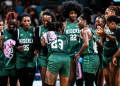 D’Tigress