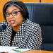 Debt Management Office, DMO, Director-General Patience Oniha
