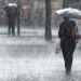 Heavy rainfall and thunderstorms are expected across several parts of Nigeria as NiMet issues a three-day weather forecast and warns of strong winds in affected areas.