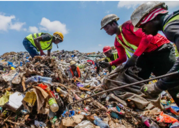 The Federal Government of Nigeria is collaborating with the United Nations Environment Programme, UNEP, to promote safer and more inclusive waste management systems across Africa.