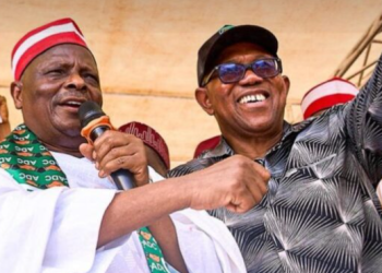 The Court of Appeal has overturned the Federal High Court judgement ordering the deregistration of the Nigeria Democratic Congress, paving the way for the party and its candidates to participate in the 2027 general elections.