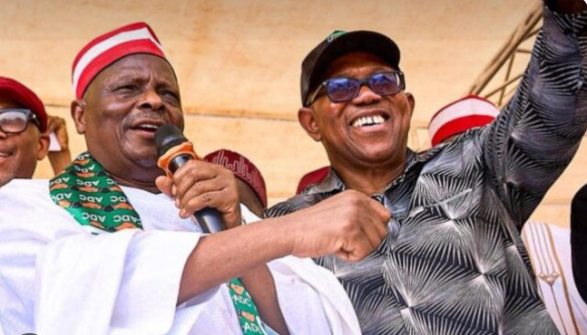 The Court of Appeal has overturned the Federal High Court judgement ordering the deregistration of the Nigeria Democratic Congress, paving the way for the party and its candidates to participate in the 2027 general elections.