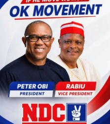 NDC National Chairman, Senator Moses Cleopas, says the 59-member Presidential Campaign Council unveiled by the Obi-Kwankwaso Movement is unauthorised and should be disregarded.