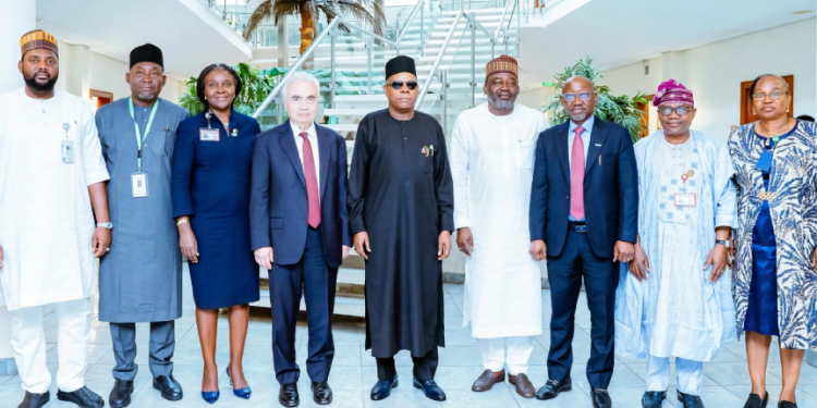 Vice President Shettima, Birol and some other IEA officials