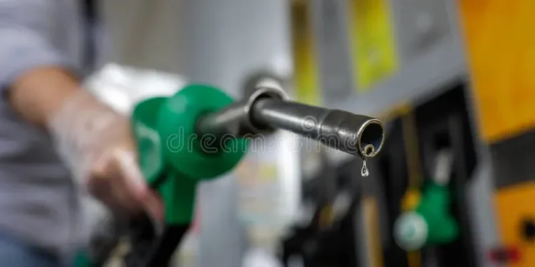 World Bank predicts fuel price may impact poverty reduction