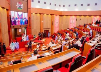 Senate defers security summit after NAF crash