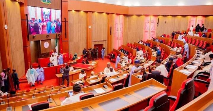 Senate defers security summit after NAF crash