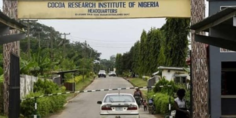 Kidnappers free CRIN abductees after six days