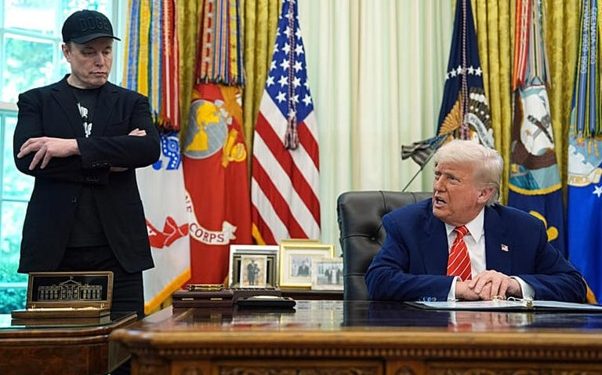 Elon Musk will make a return to officially advising US President Donald Trump's government by co-leading what the Pentagon called a study on the future of war.